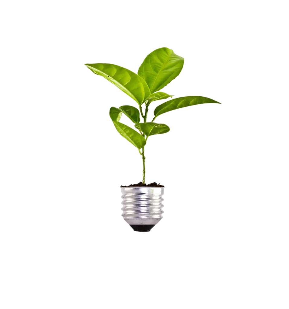 Plant growth light
