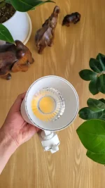 چراغ رشد گیاه ریلی