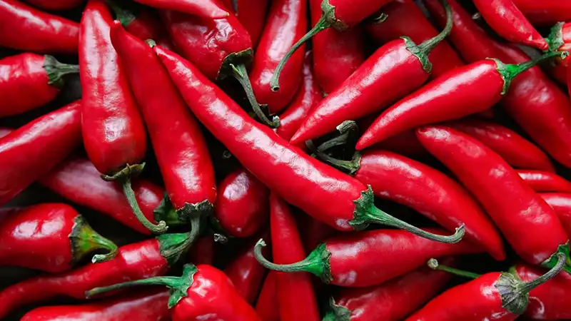 نکات و رمز و راز کاشت فلفل قرمز