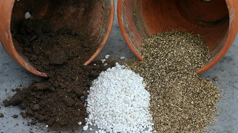 خاک پرلیت؛ راز رشد بی‌نظیر گیاهان با جذب آب و تهویه عالی