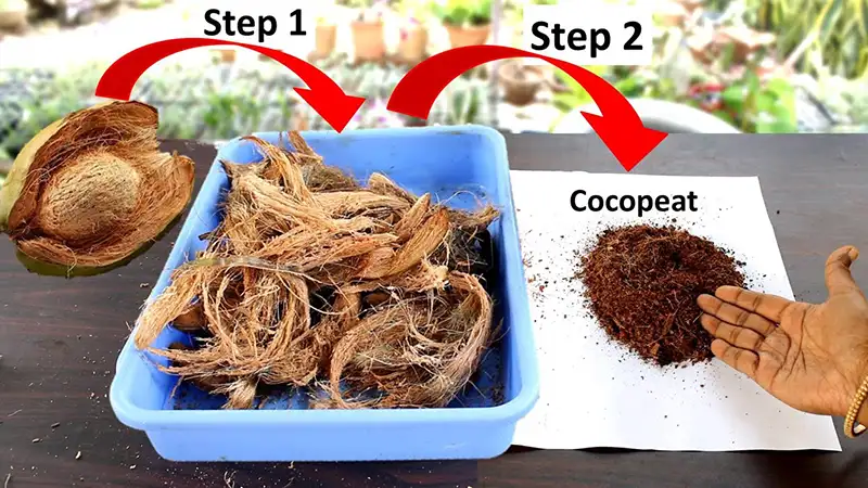 چگونه کوکوپیت تولید می‌شود؟