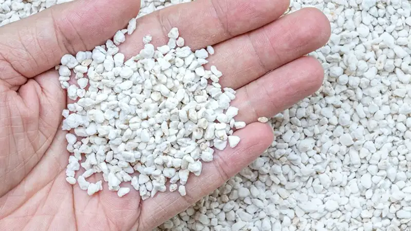 پرلیت در کشاورزی و باغبانی