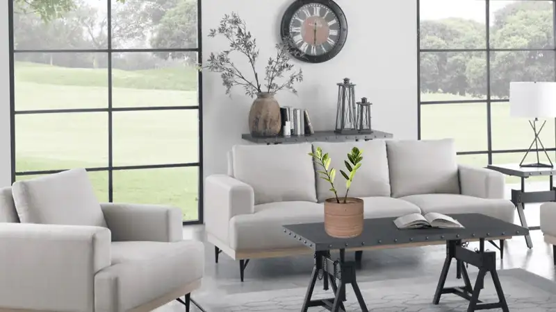 زاموفیلیا ابلق – لوکس، نادر و مقاوم