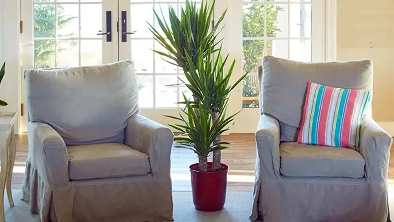 یوکای غولپیکر – شاهکاری برای خانههای مدرن