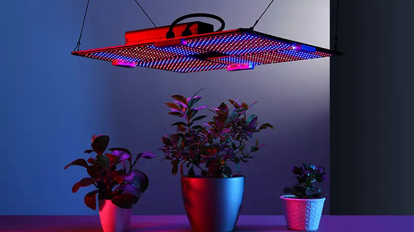 چراغ رشد گیاه LED؛ نوری که گیاهان شما را متحول می‌کند!