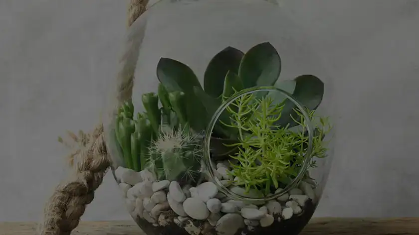 راز سبز ماندن گیاهان آپارتمانی با لامپ رشد گیاه فول اسپکتروم افرانور