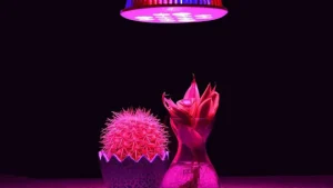 نور مصنوعی برای گیاهان؛ این حقیقت را هیچکس به شما نمیگوید!