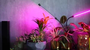 مزایای لامپ فول اسپکتروم افرانور