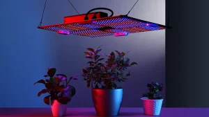 گارانتی و خدمات پس از فروش افرانور