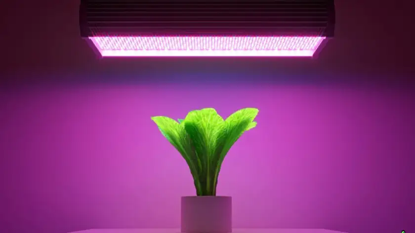 لامپ فلورسنت چیست؟ حقیقتی که قبل از انتخاب نور باید بدانید!