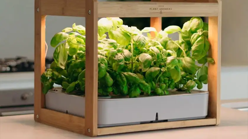 نور مصنوعی؛ راز پنهانی طعم بهتر سبزیجات چیست؟