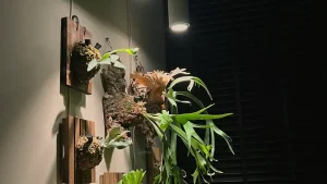 لامپ رشد گیاه آپارتمانی؛ چرا بدون آن گیاهان شما رشد نمی‌کنند؟