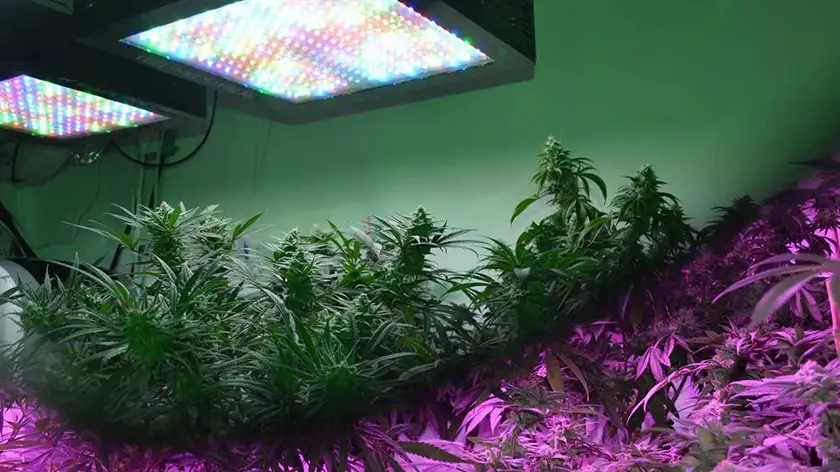 نور مکمل فول‌اسپکتروم