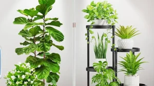 تفاوت SMD و COB؛ کدام‌یک رشد را متحول می‌کند؟