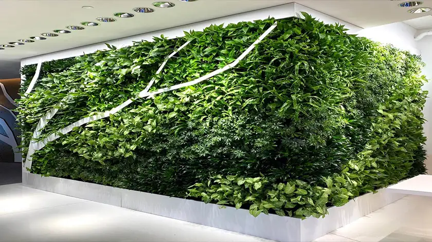 ۷ راز ساخت دیوار سبز در منزل که نمی‌دانید!