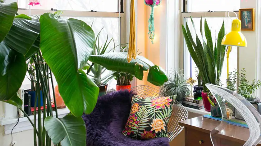 مقایسه تکنولوژیهای لامپ رشد گیاه در بازار