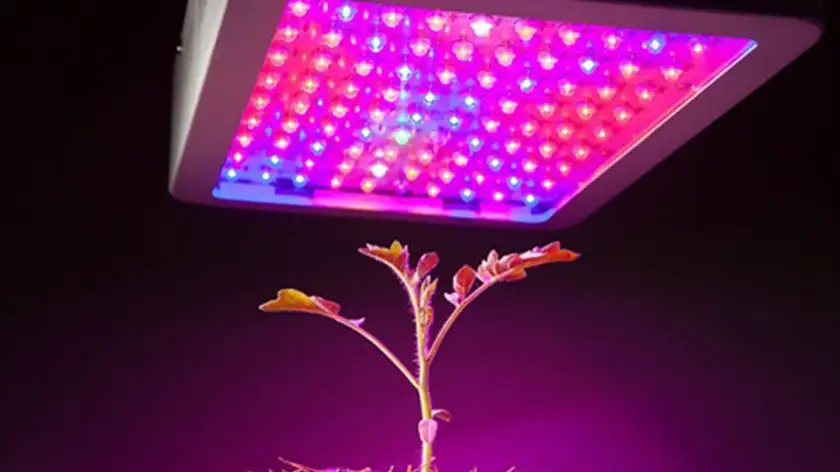 انقلاب فولاسپکتروم