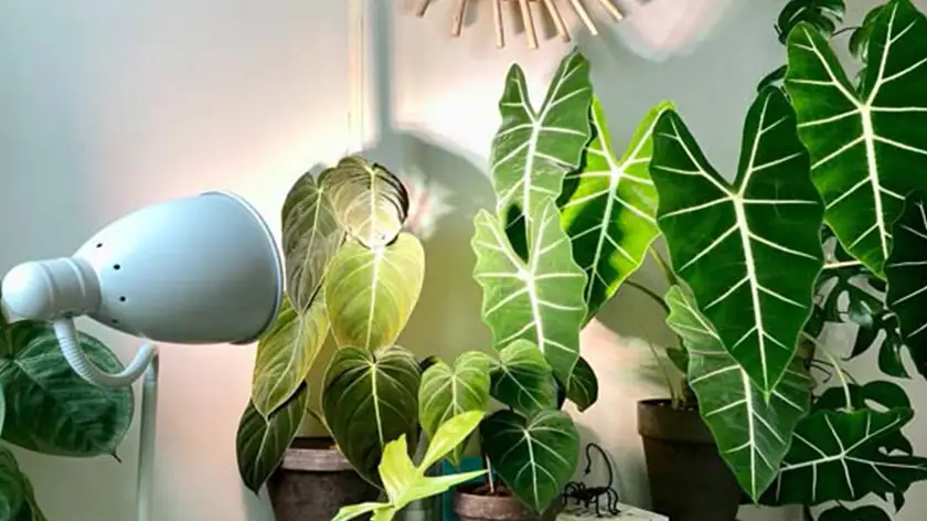 تحلیل استانداردهای فاصله بر اساس توان مصرفی محصولات افرانور