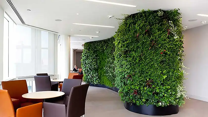 راهنمای گامبهگام ساخت دیوار سبز در منزل